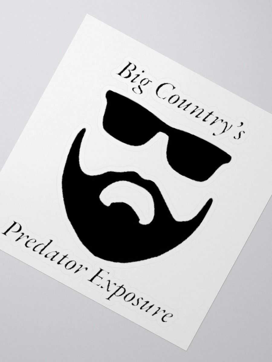 BCPE STICKER product image (5)
