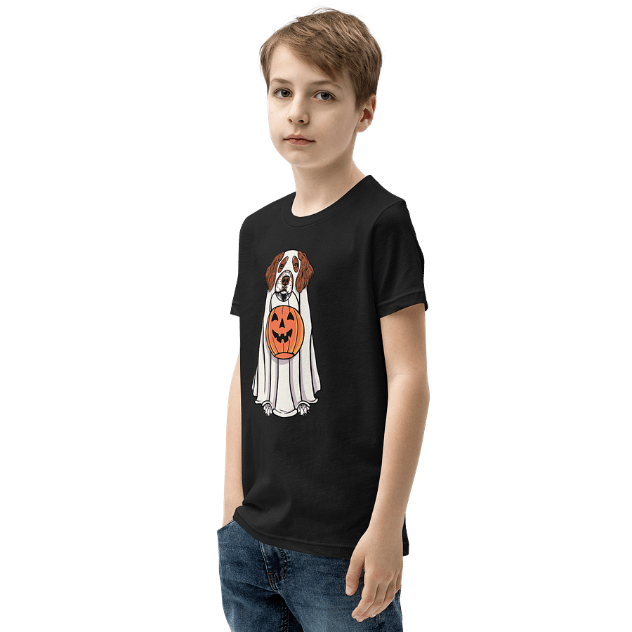 Halloween Brittany Spaniel Youth T-Shirt product image (7)
