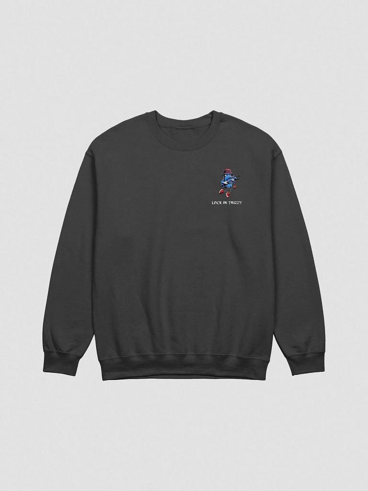 Embroidered Lock in Trizzy Sweatshirt product image (1)