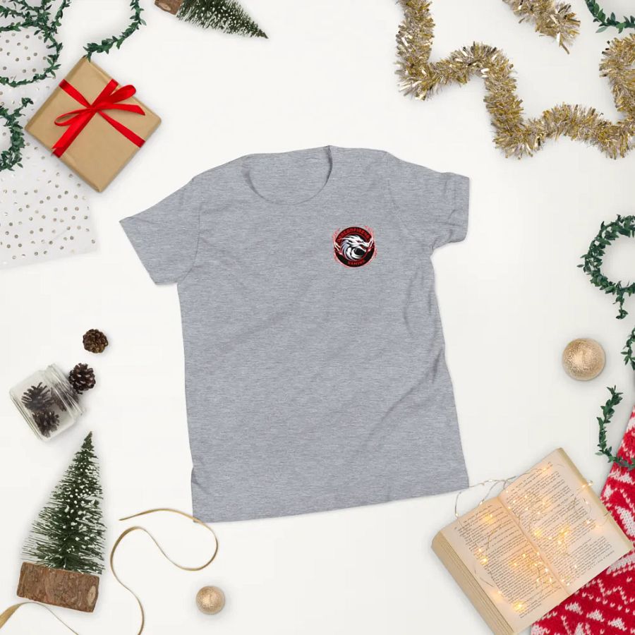 Dragonfire46 Gaming Official Youth Tee Merch product image (6)