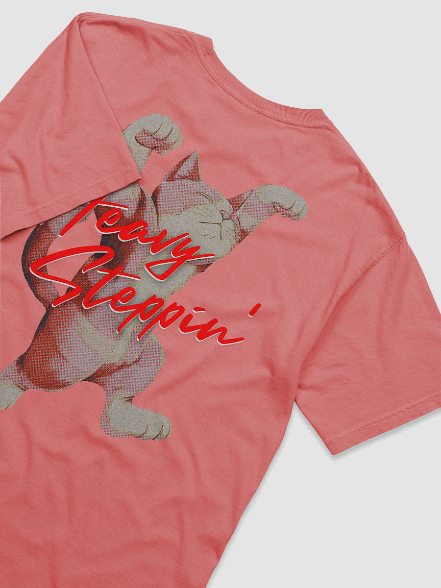 Heavy Steppin Cat T Shirt Kawaii Kitty product image (127)
