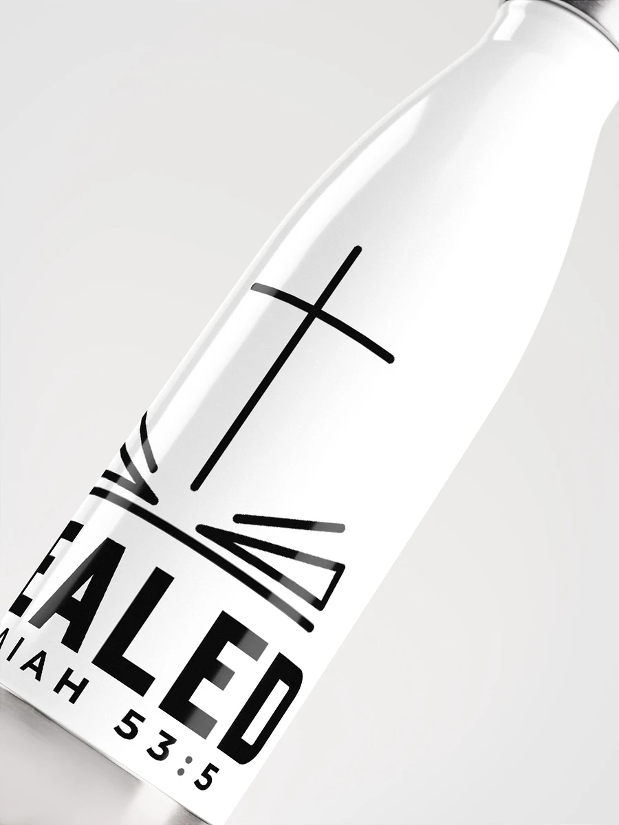Healed Stainless Steel Water Bottle product image (5)