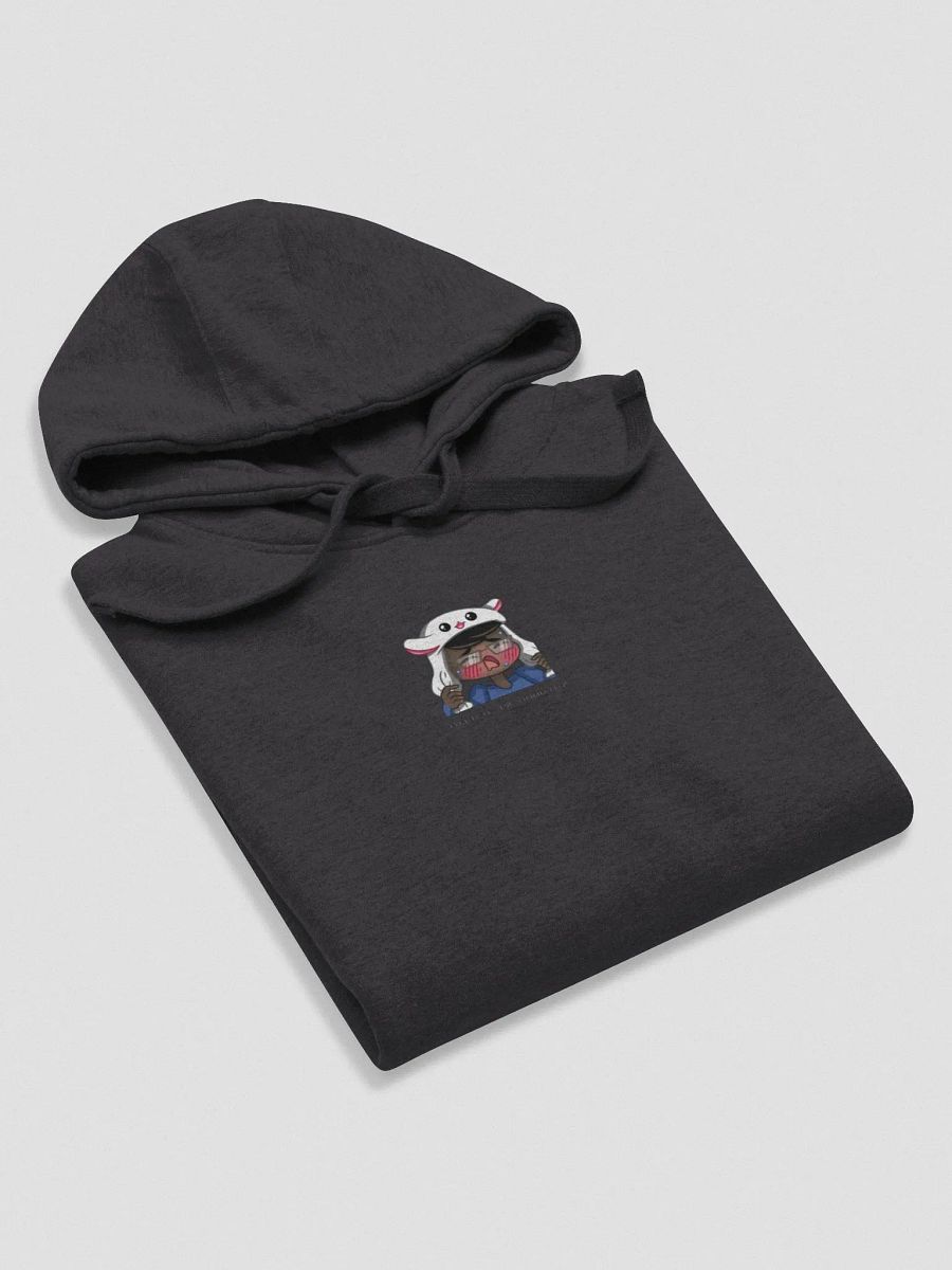 Ridz heart hoodie (centered design) product image (6)