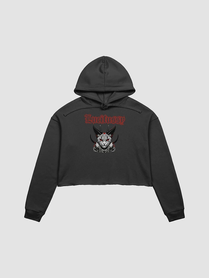 Lucifussy Cropped Hoodie product image (1)