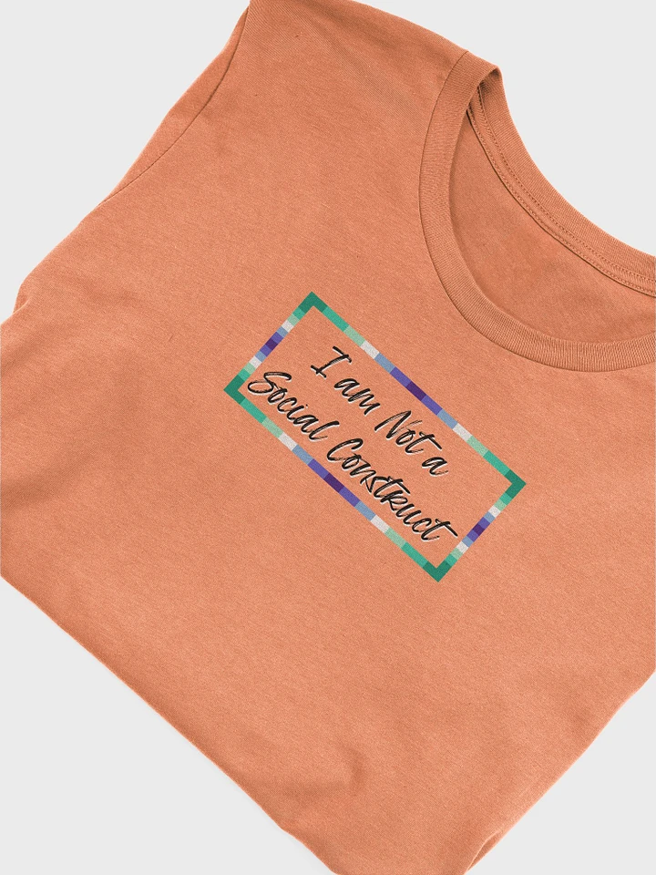 I am Not a Social Construct (lg) - Gay - Supersoft T product image (1)