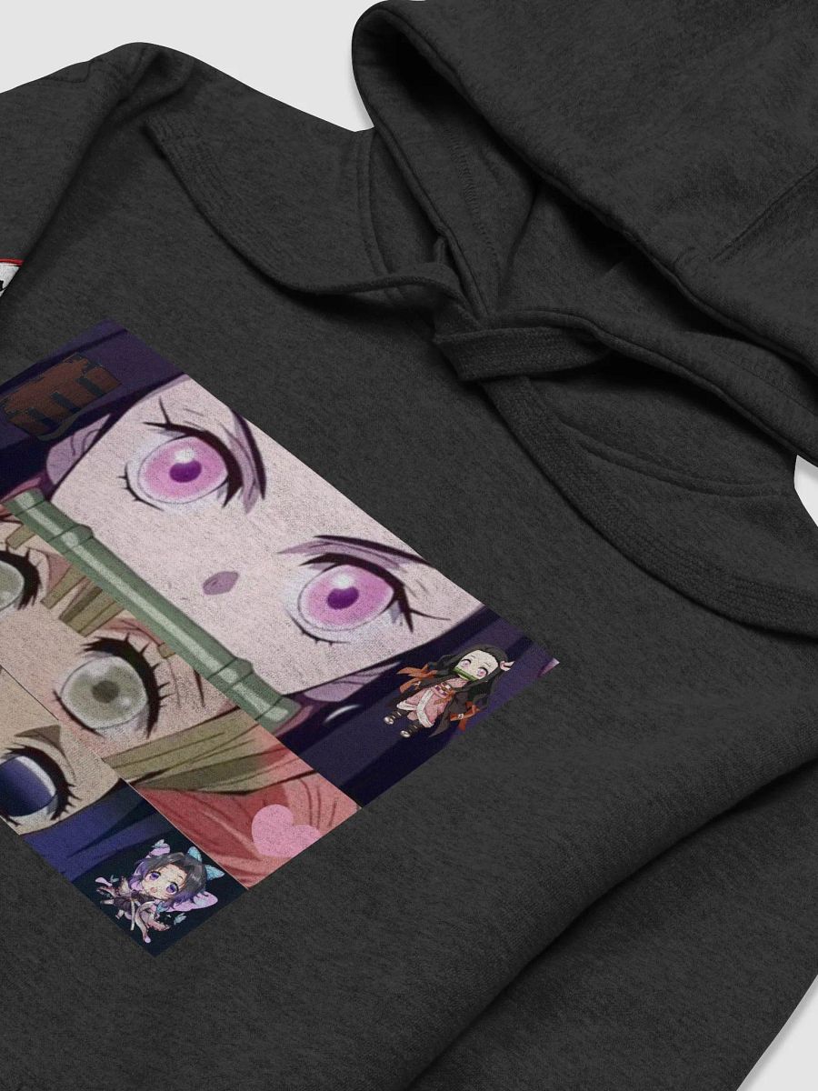DS product image (3)