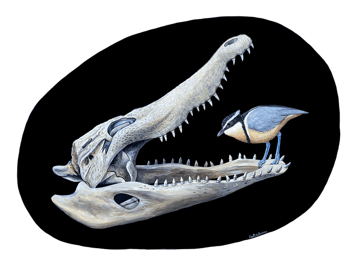 The Peacemakers (Egyptian Plover) - Art Print product image (1)