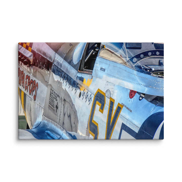 P-51D Mustang - Ace product image (2)