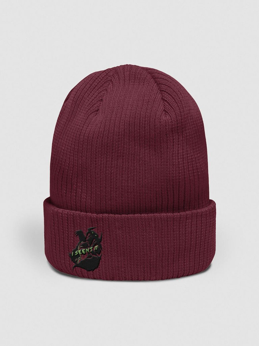 I Seen't It (Hodag) Beanie product image (12)