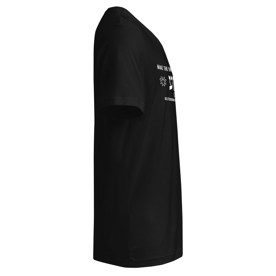 The Great Shema V-Neck Tee product image (5)