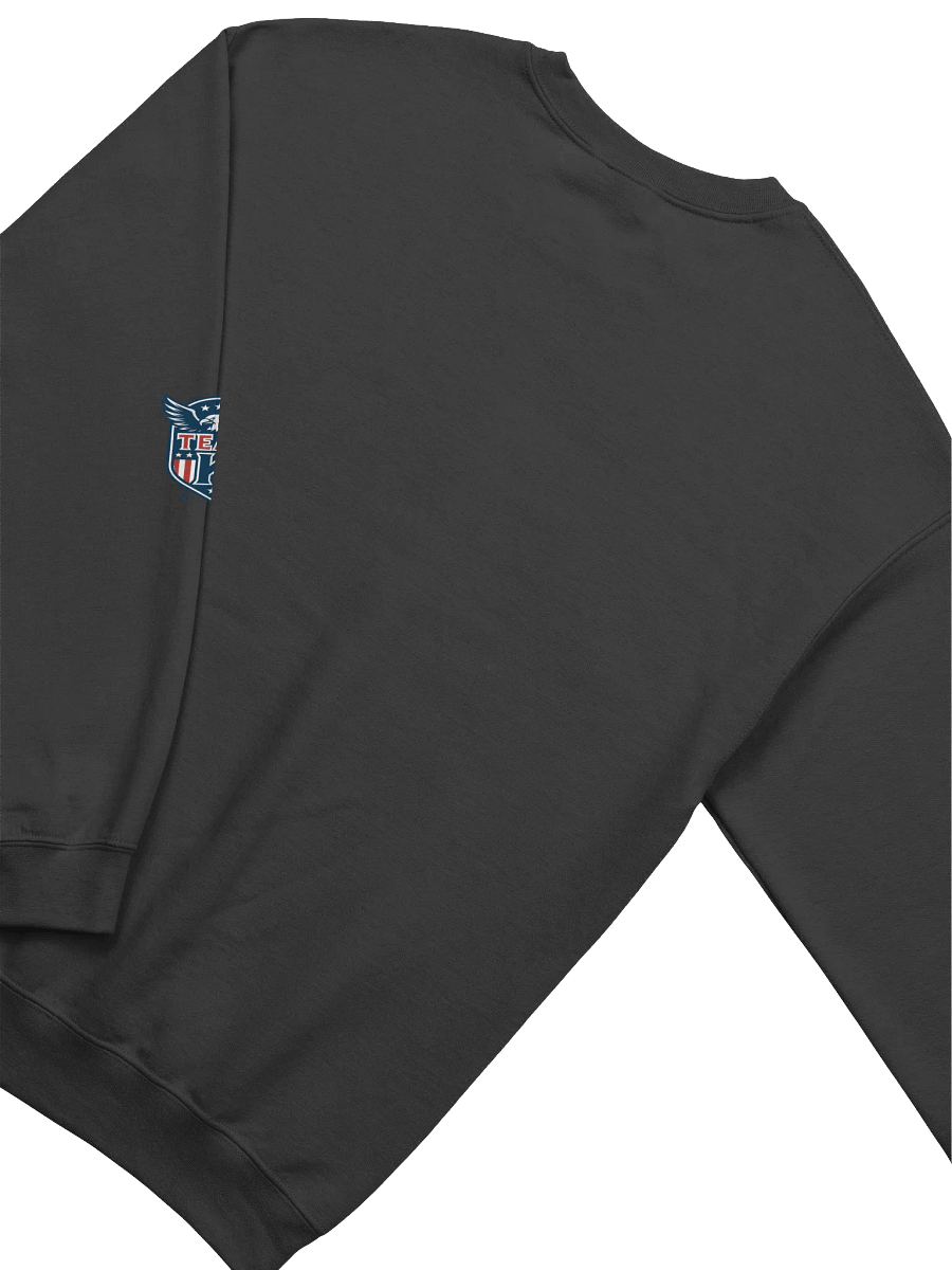 Team K USA Sweathshirt product image (40)