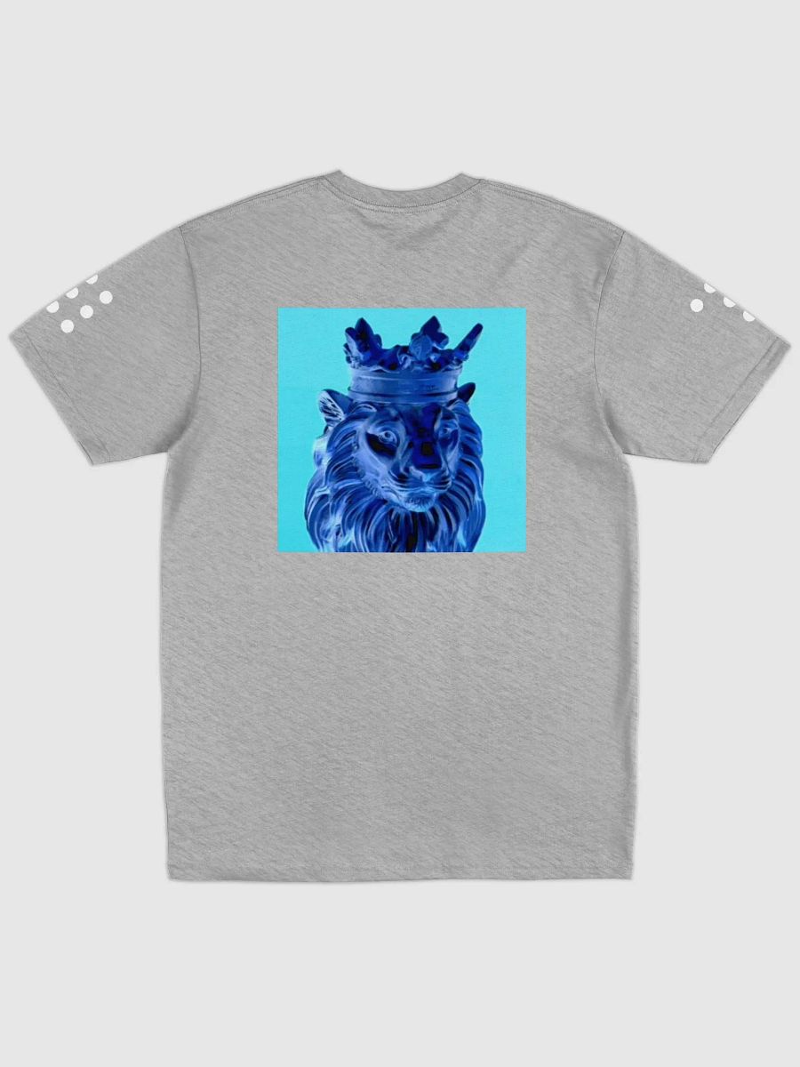 R O I product image (3)