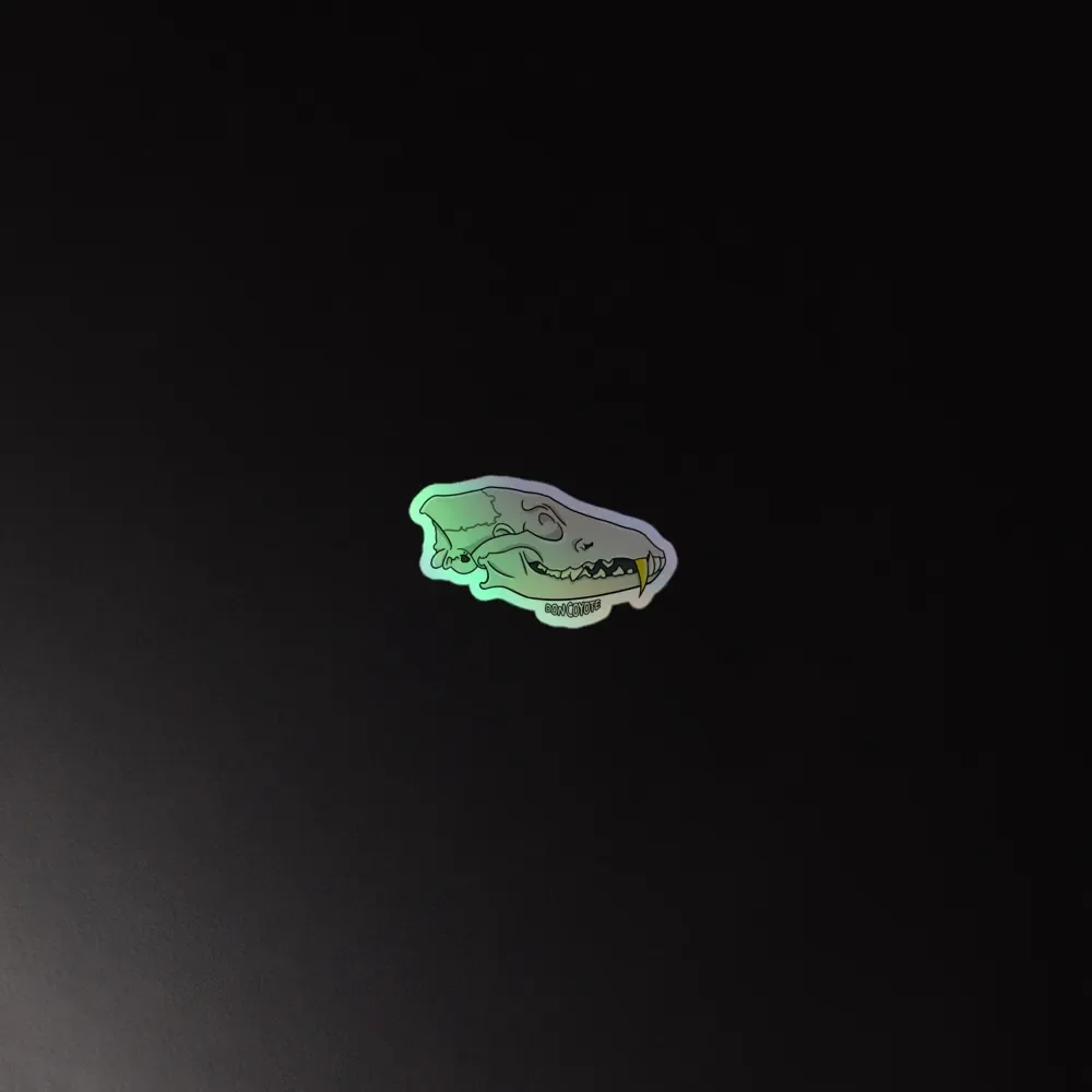 DC SKULL HOLO STICKERS product image (2)