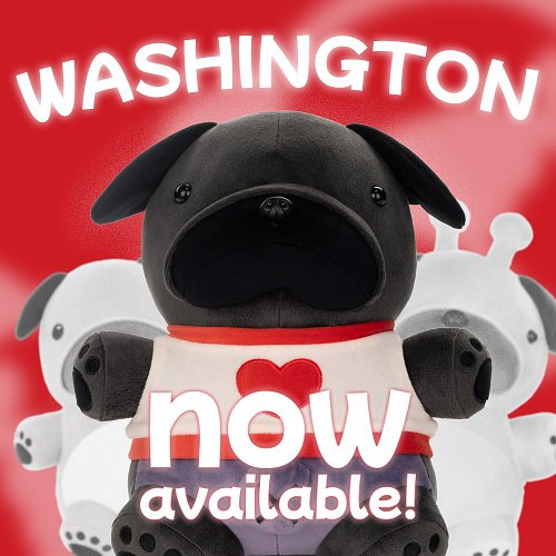 WASHINGTON COMPLETED THE TRIO, AND IS NOW AVAILABLE FOR PRE-ORDER!!! PRE-ORDERS ARE OPEN UNTIL 12/26, SO IF YOU NEED TO GET I...