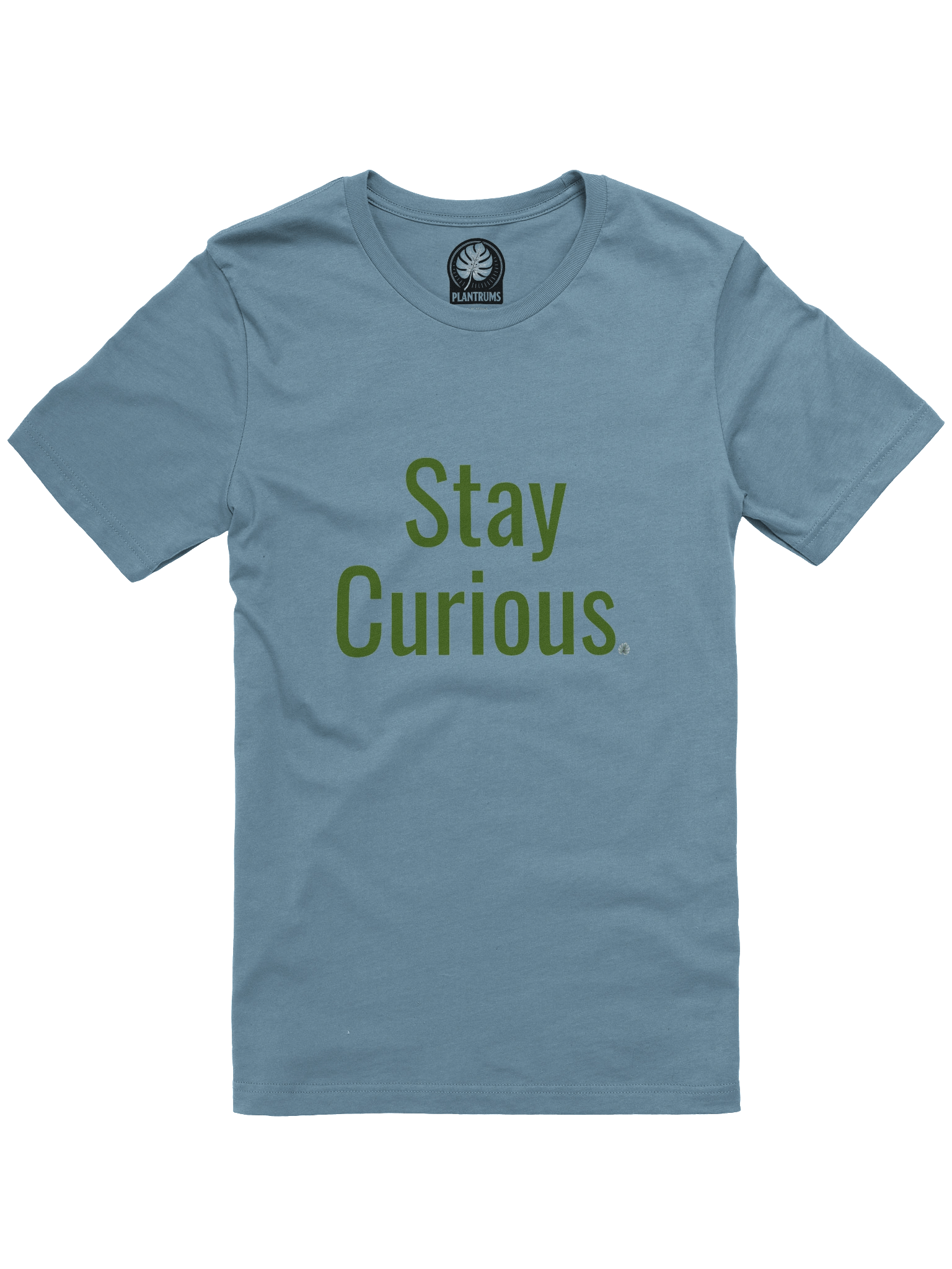 Stay Curious Monstera Shirt product image (1)