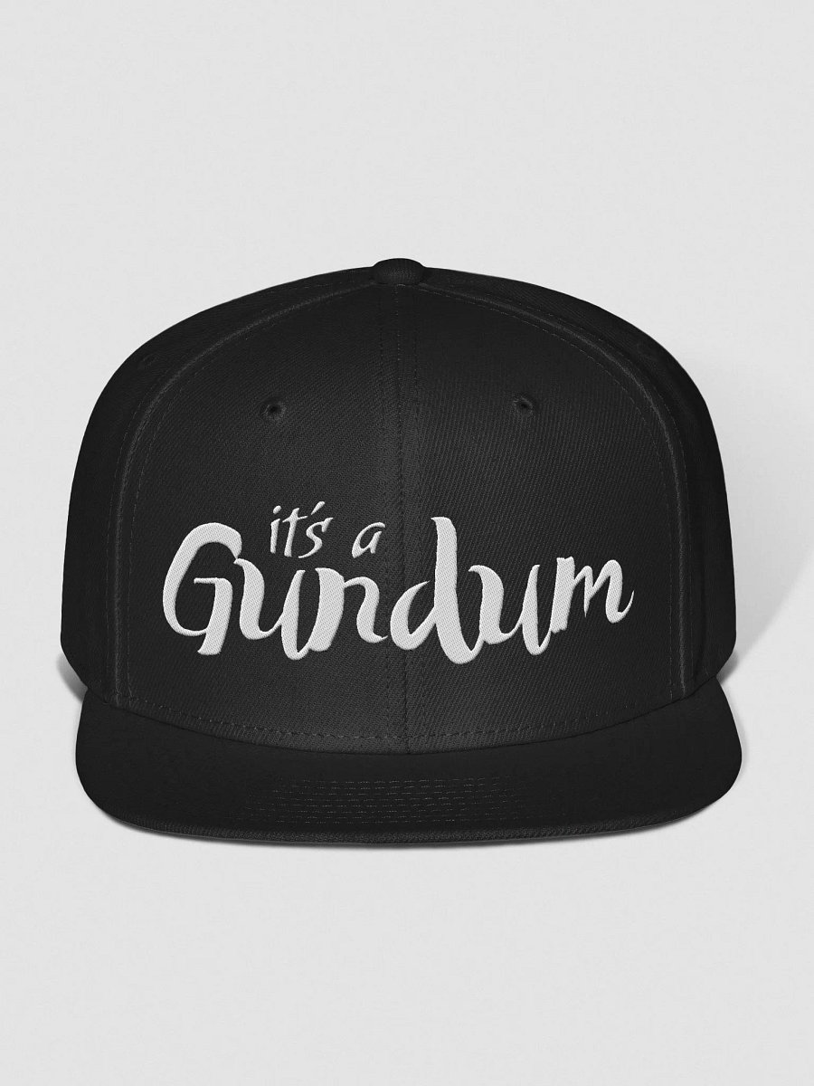 It's a Snap Back! product image (1)