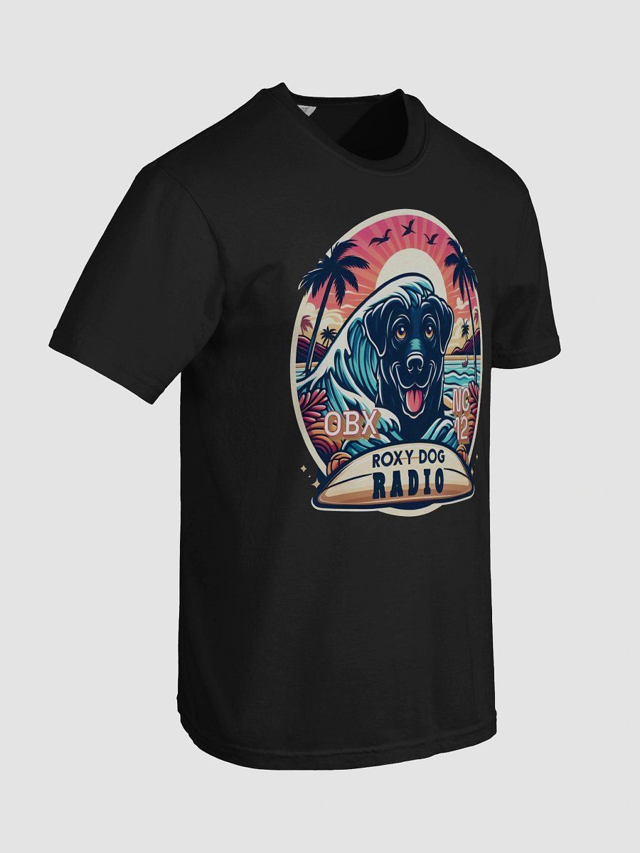 Roxy Dog Radio OBX NC 12 T-Shirt product image (81)