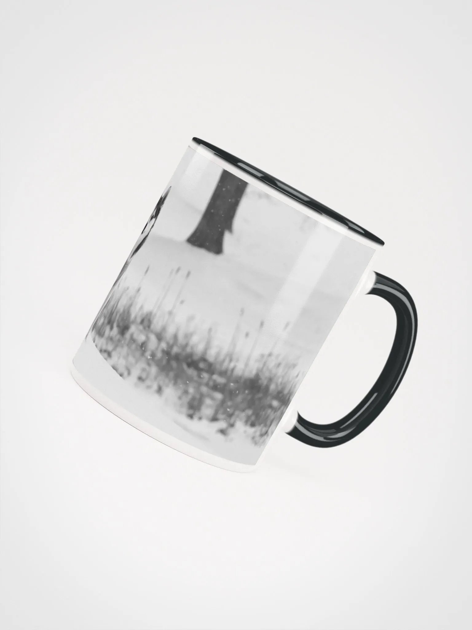 Cute Klee Kai Puppy - Black & White product image (6)