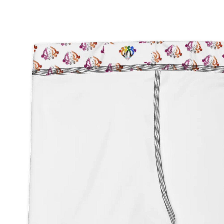 Spectrum Syndicate Lesbian Allover Print Leggings product image (9)