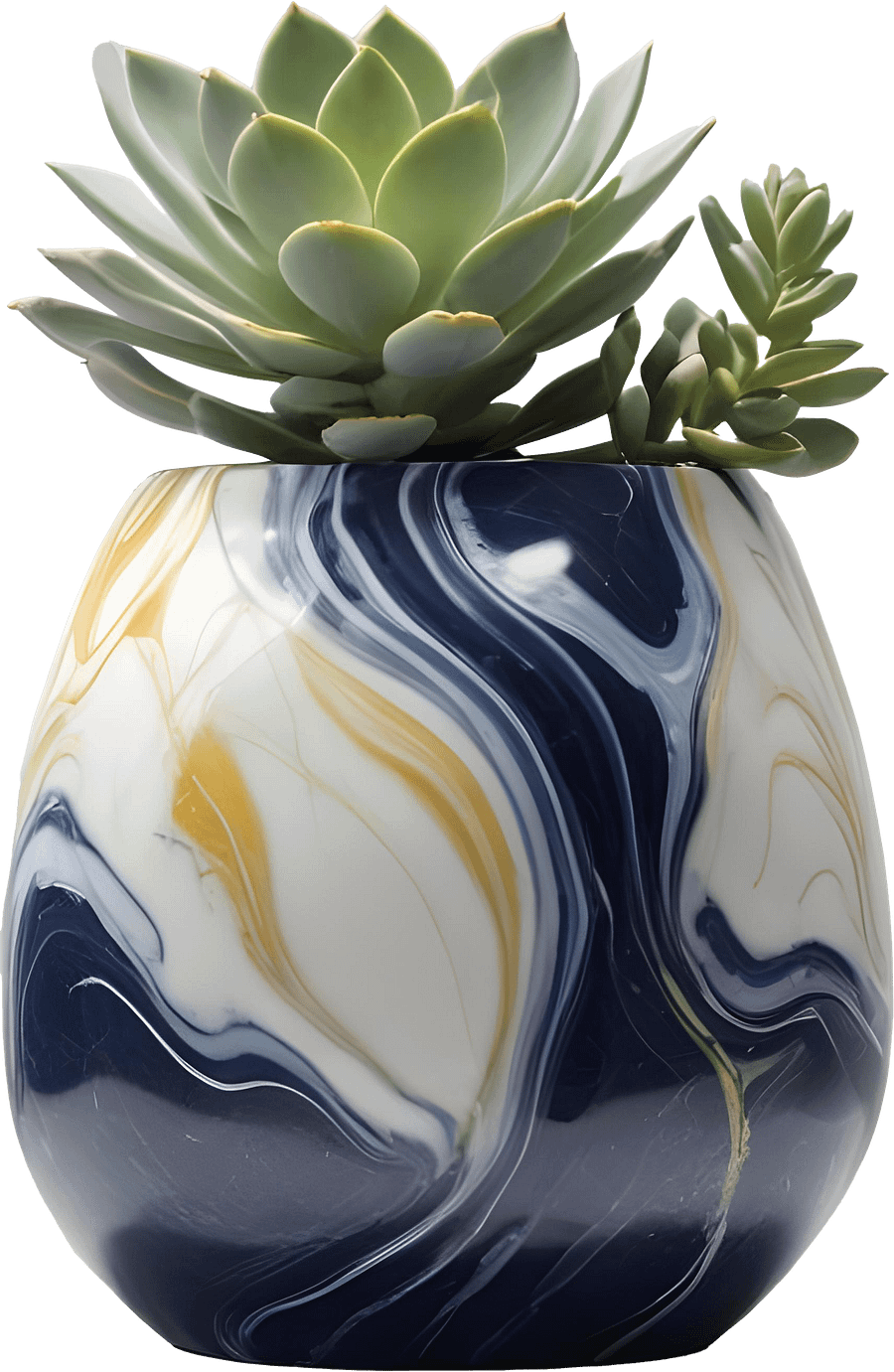Golden Tides – Provence-Style Succulent Bowl PNG product image (1)