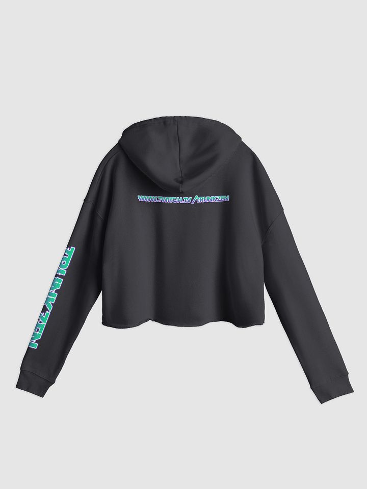 TZ Wholesome w/a little naughty Crop Hoodie product image (12)