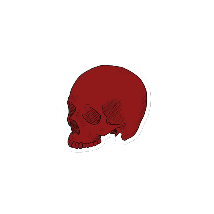 Halfskull magnet product image (1)