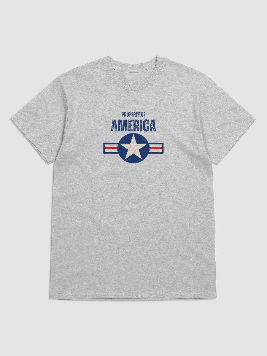 Property of America shirt product image (2)