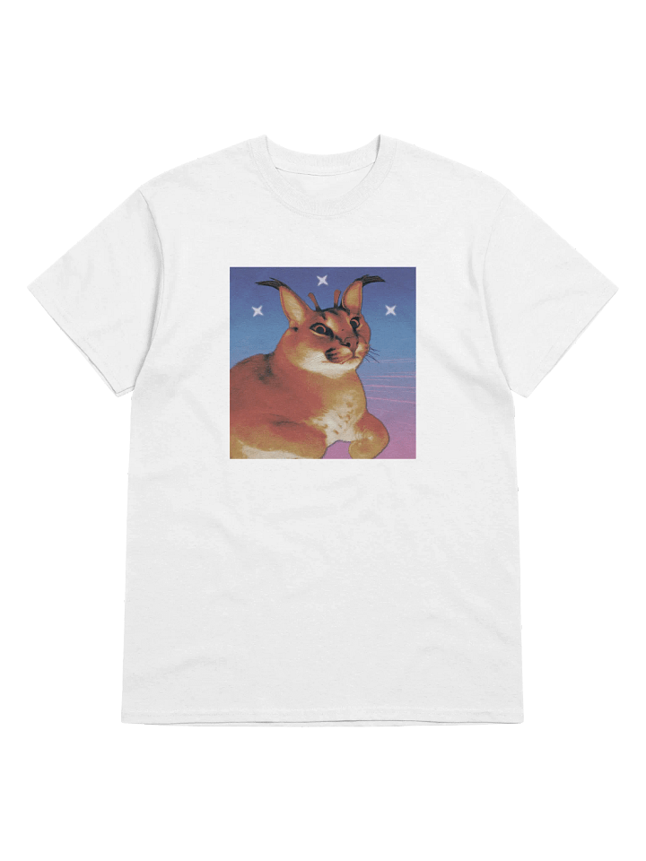 ALIEN FLOPPA MINIMALISTIC TEE (⏃⌰⟟⟒⋏ ⋔⟟⋏⟟⋔⏃⌰⟟⌇⏁⟟☊ ⎎⌰⍜⌿⌿⏃) product image (1)