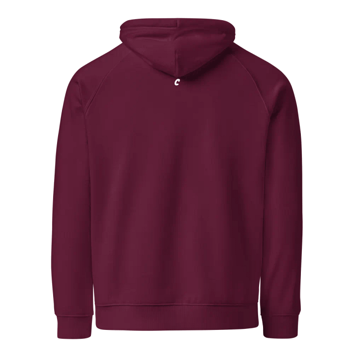 CF Unisex Eco Raglan Hoodie product image (2)