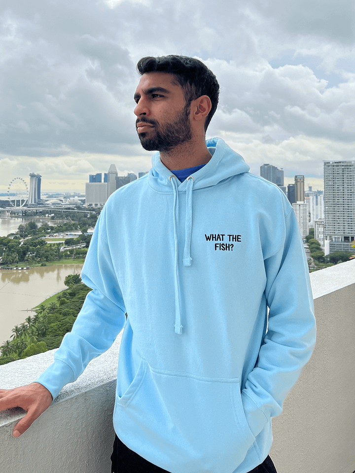 What The Fish Hoodie product image (1)