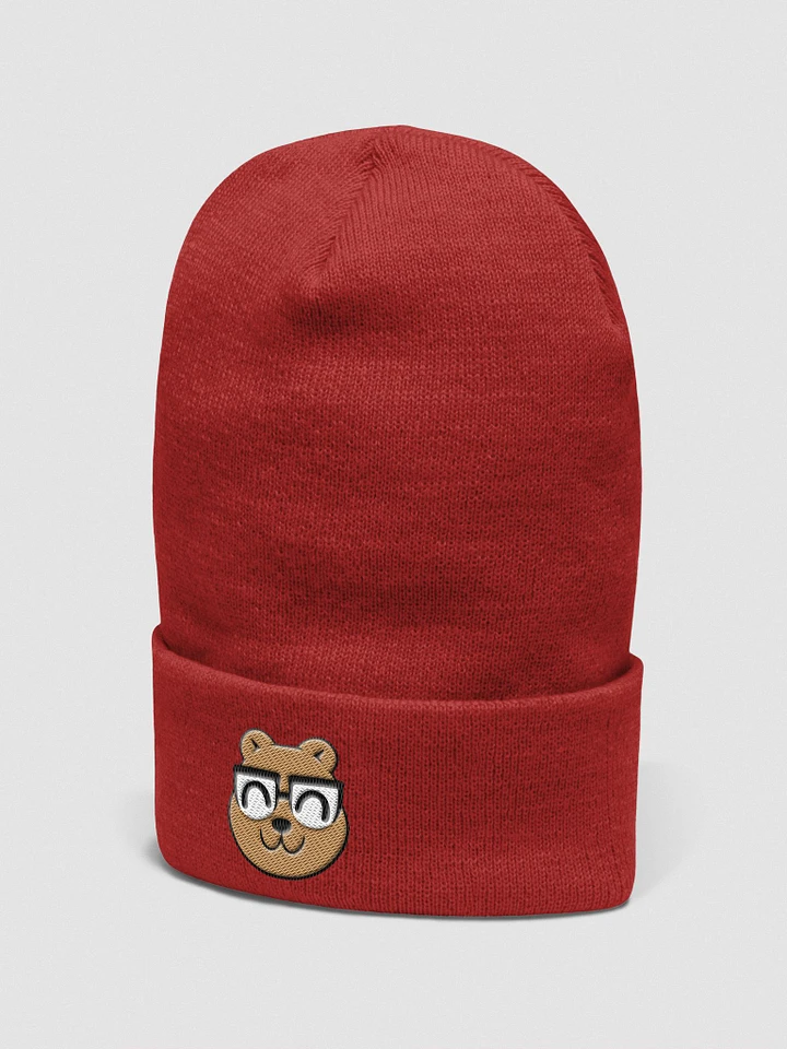 CardlinAudio Beanie product image (2)