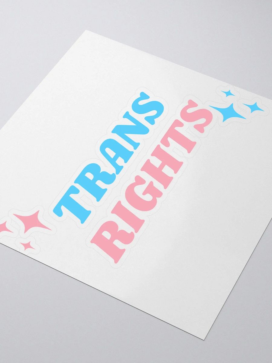 Trans Rights Sticker product image (3)