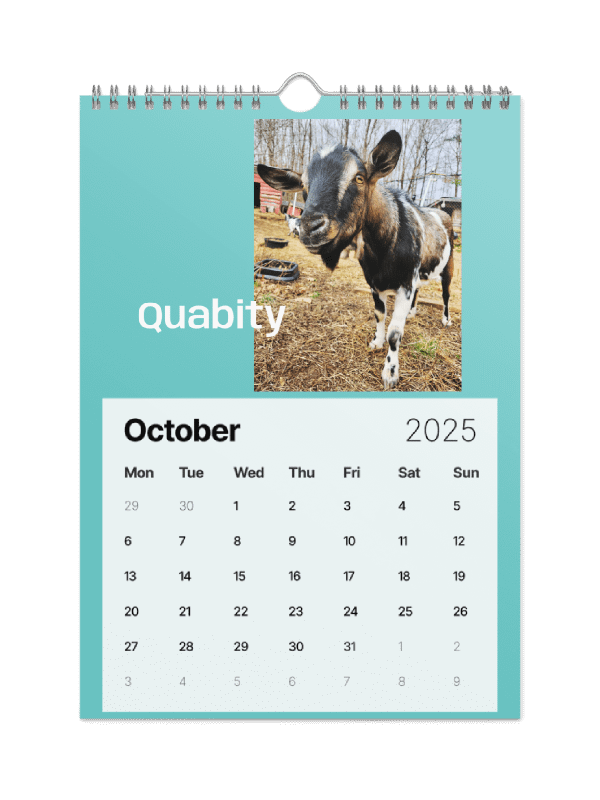 BrowncoatGoat Barn's Goats of 2025 product image (7)