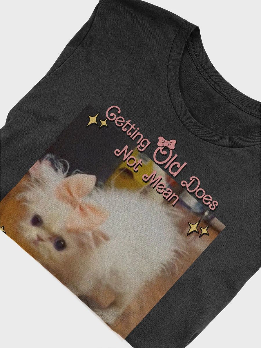 Old & Whimsy Supersoft T-Shirt product image (6)