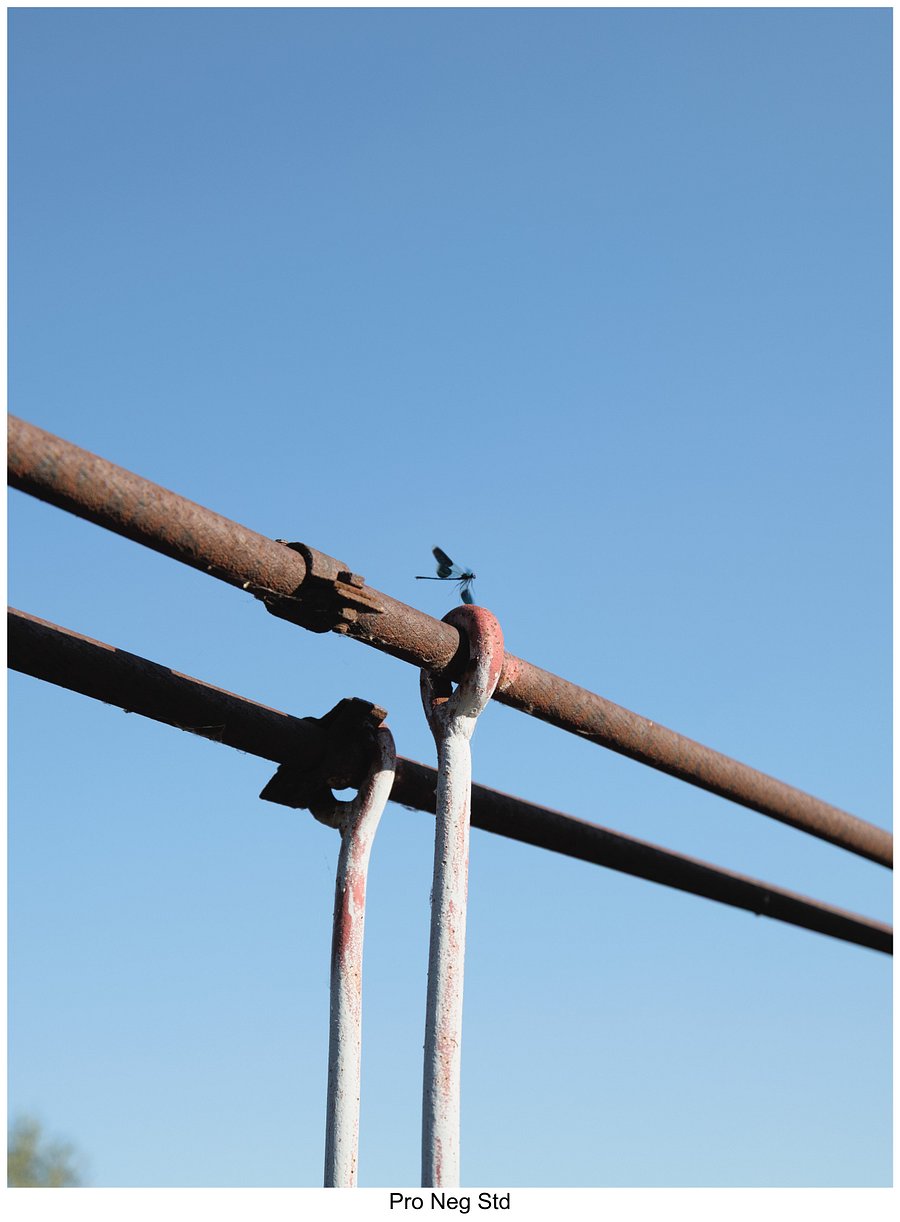 Fujify [Canon] Lightroom Profiles product image (6)