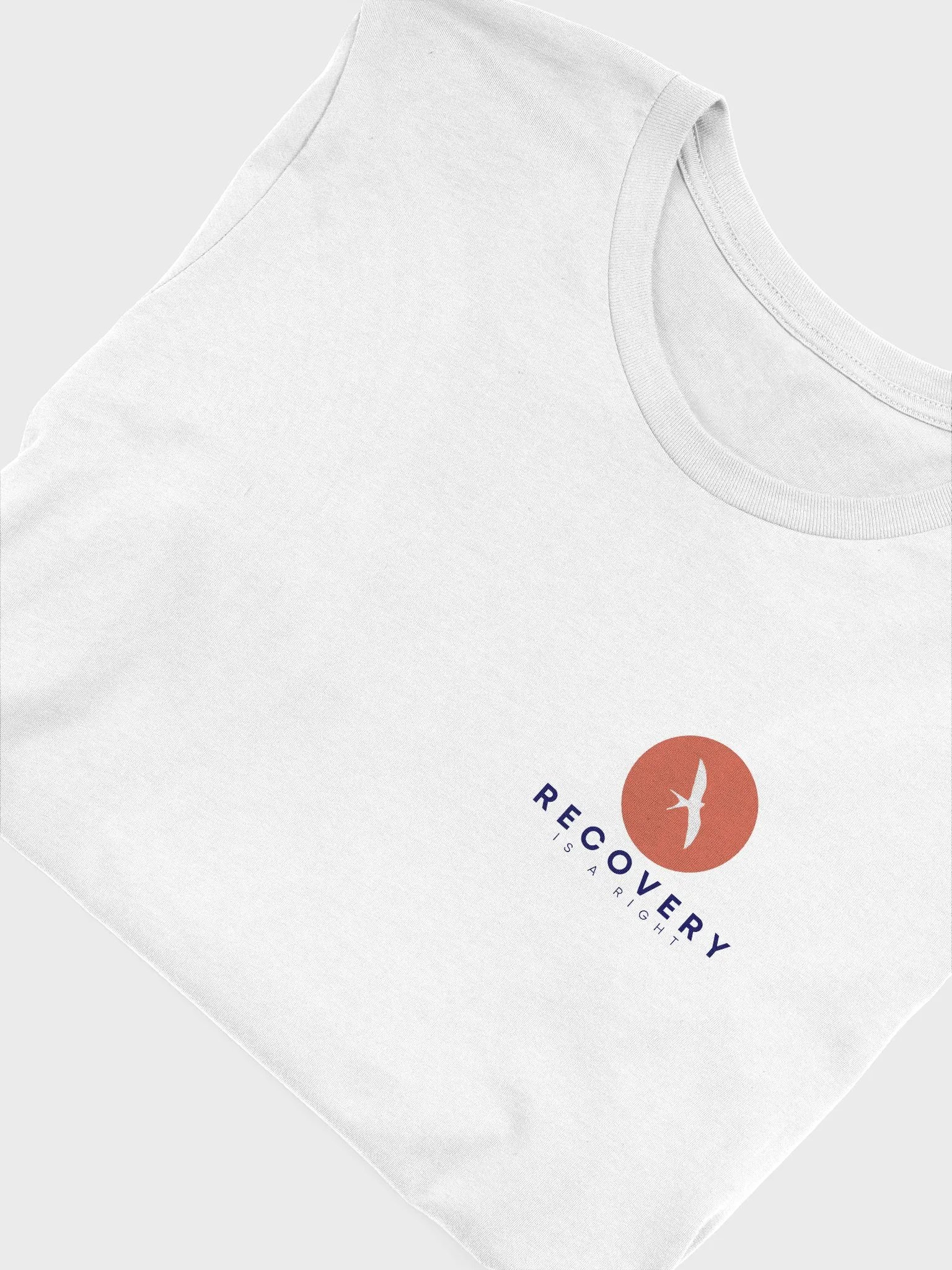 Recovery is a Right product image (1)