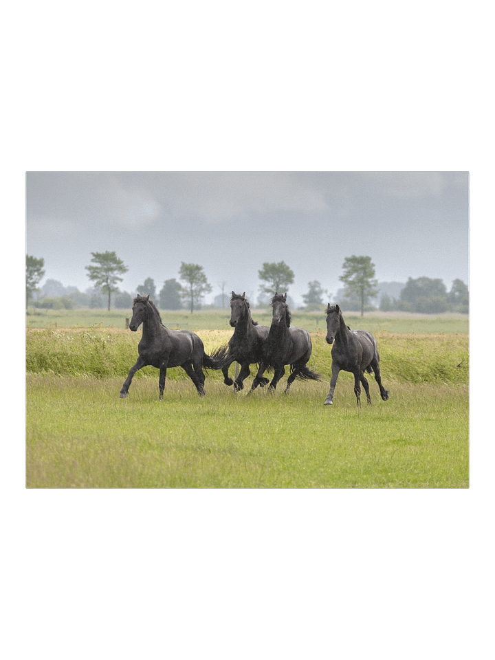 Wûnder, Willem, Wytse W & Wytse product image (1)