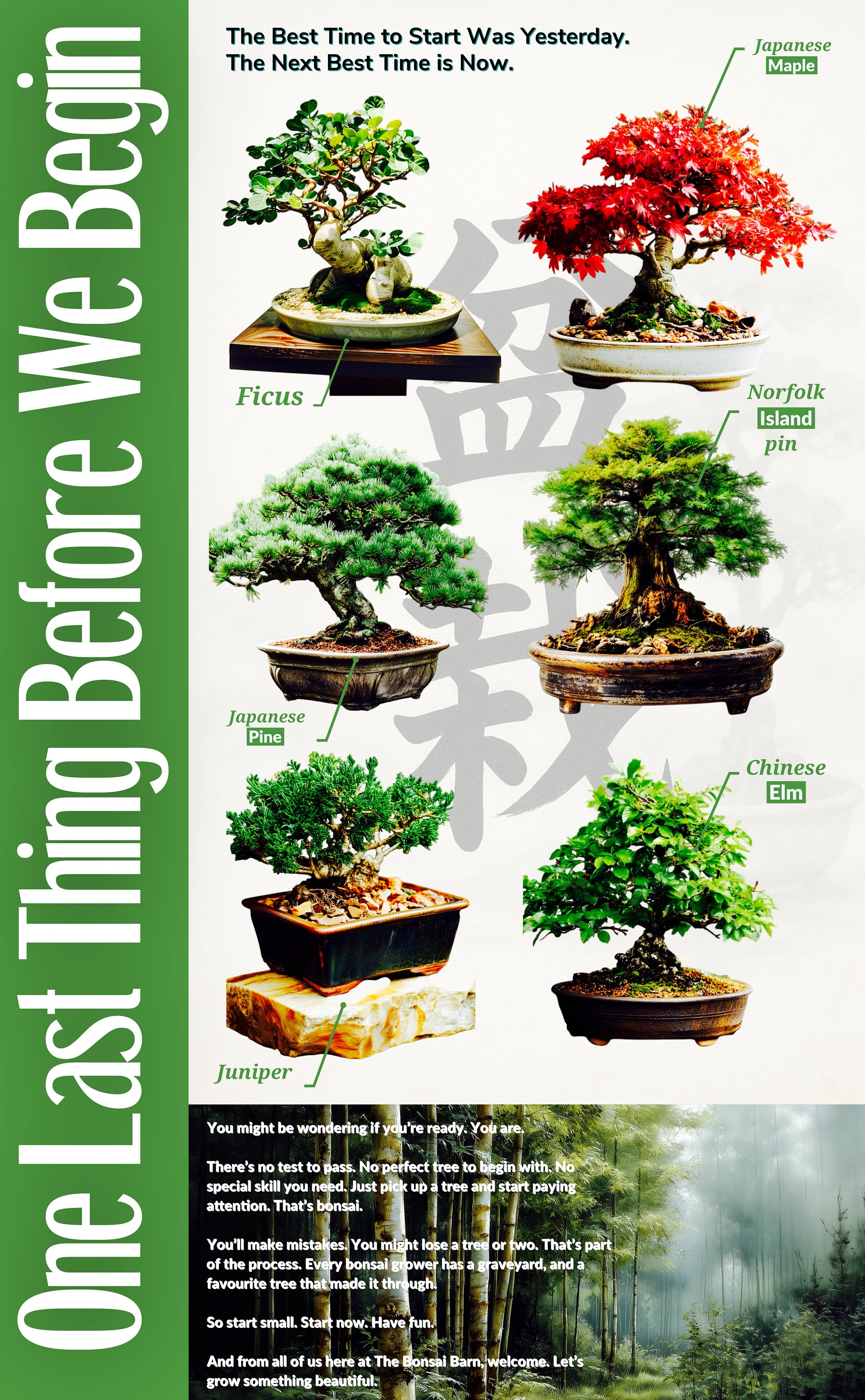 Essential Bonsai Guide : Bonsai for Beginners product image (4)