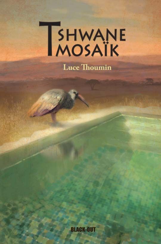 Tshwane mosaïk product image (1)