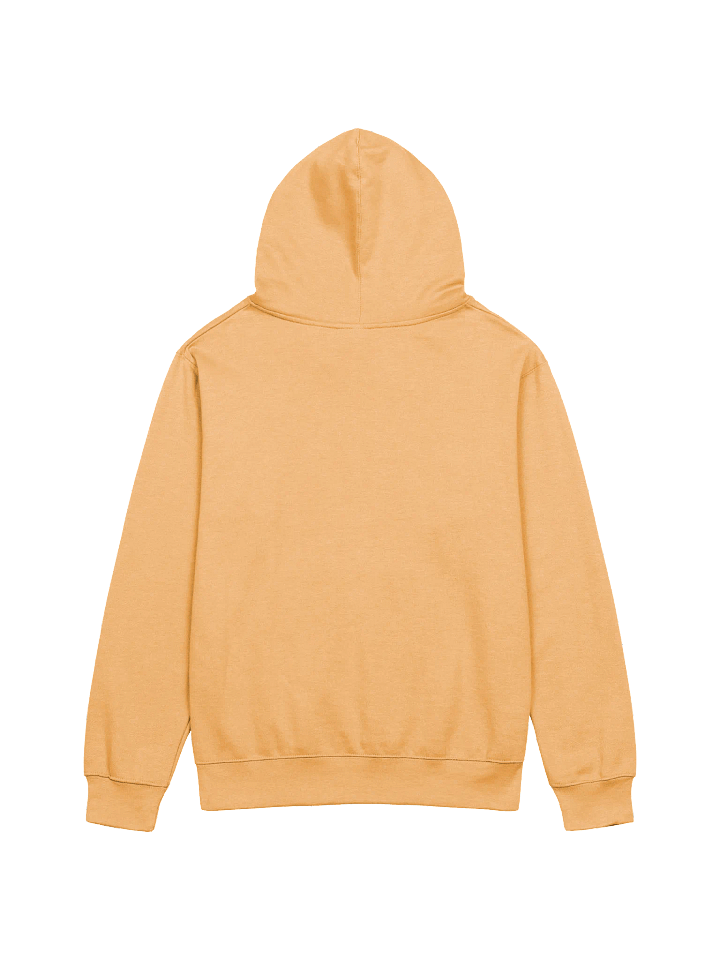 Independent Trading Co. Midweight Hoodie | WIL Style product image (12)