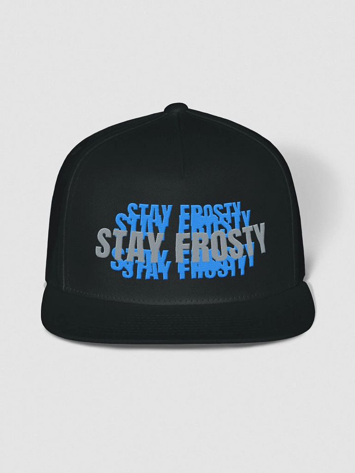 Stay Frosty snapback product image (1)