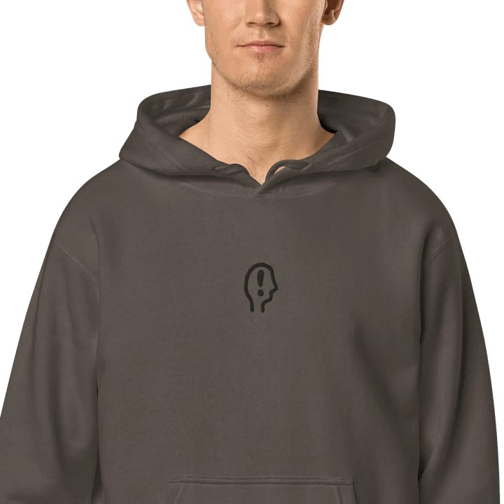 EXCLAIMING MENTALLY (C. black) embroidered pigment hoodie product image (2)