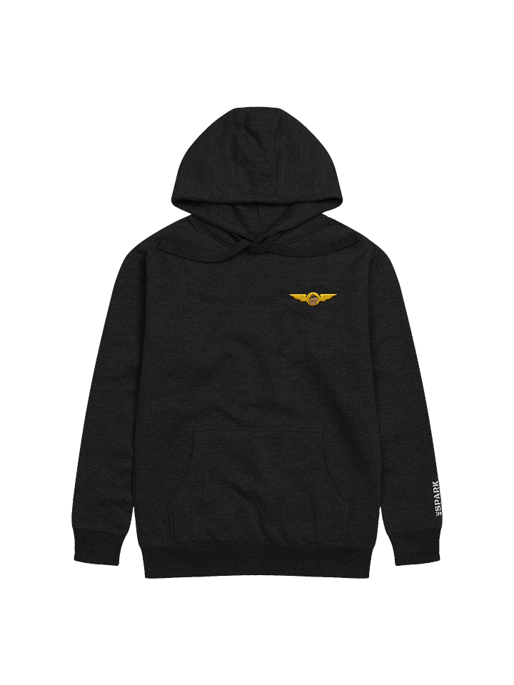 Embroidered Hoodie product image (1)