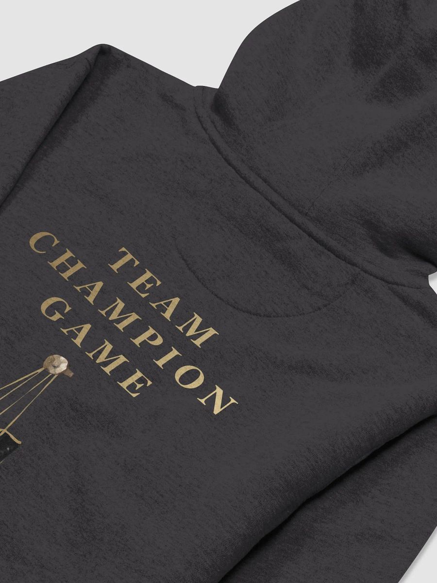 Team Champion Game Hoodie product image (4)