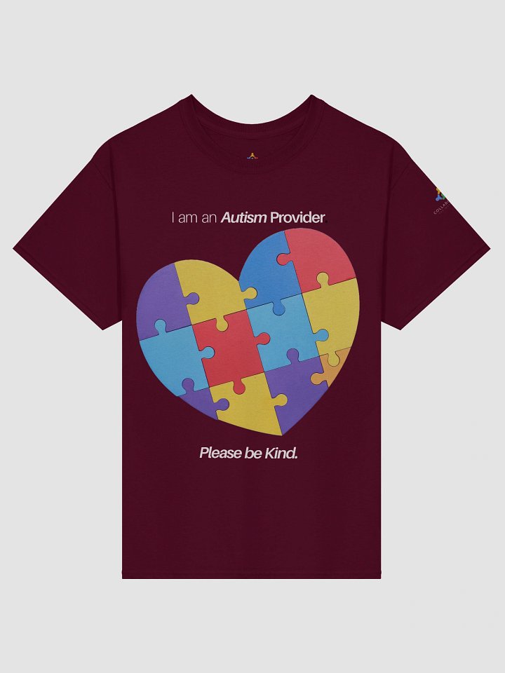 I am an Autism Provider Please Be Kind T-Shirt product image (1)