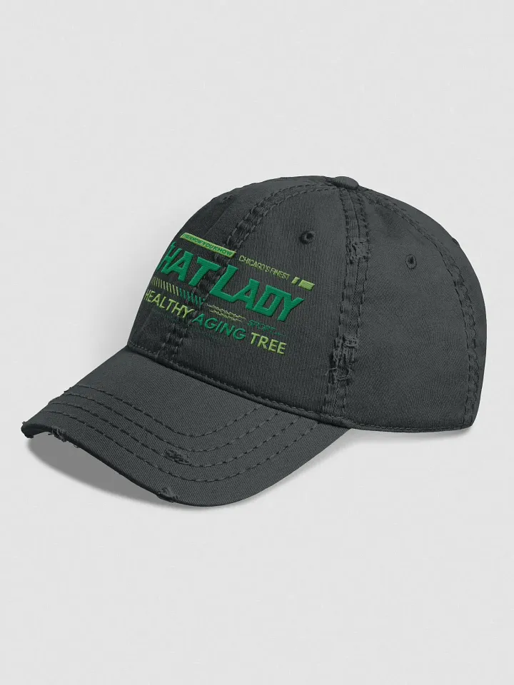 That Lady Chicago Distressed Cap (Spritzer Edition) product image (4)