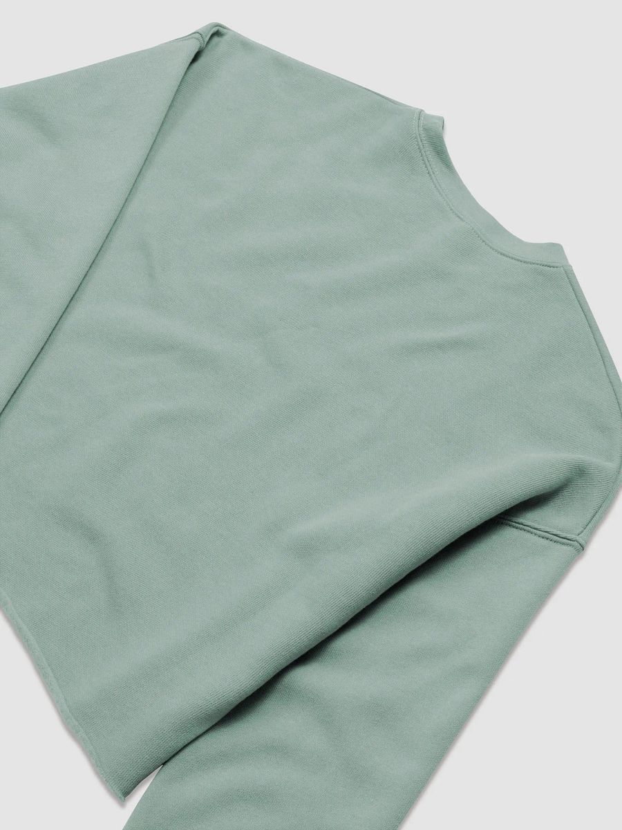 Payton's Virtual Corner Cropped Sweatshirt - Black Text product image (6)