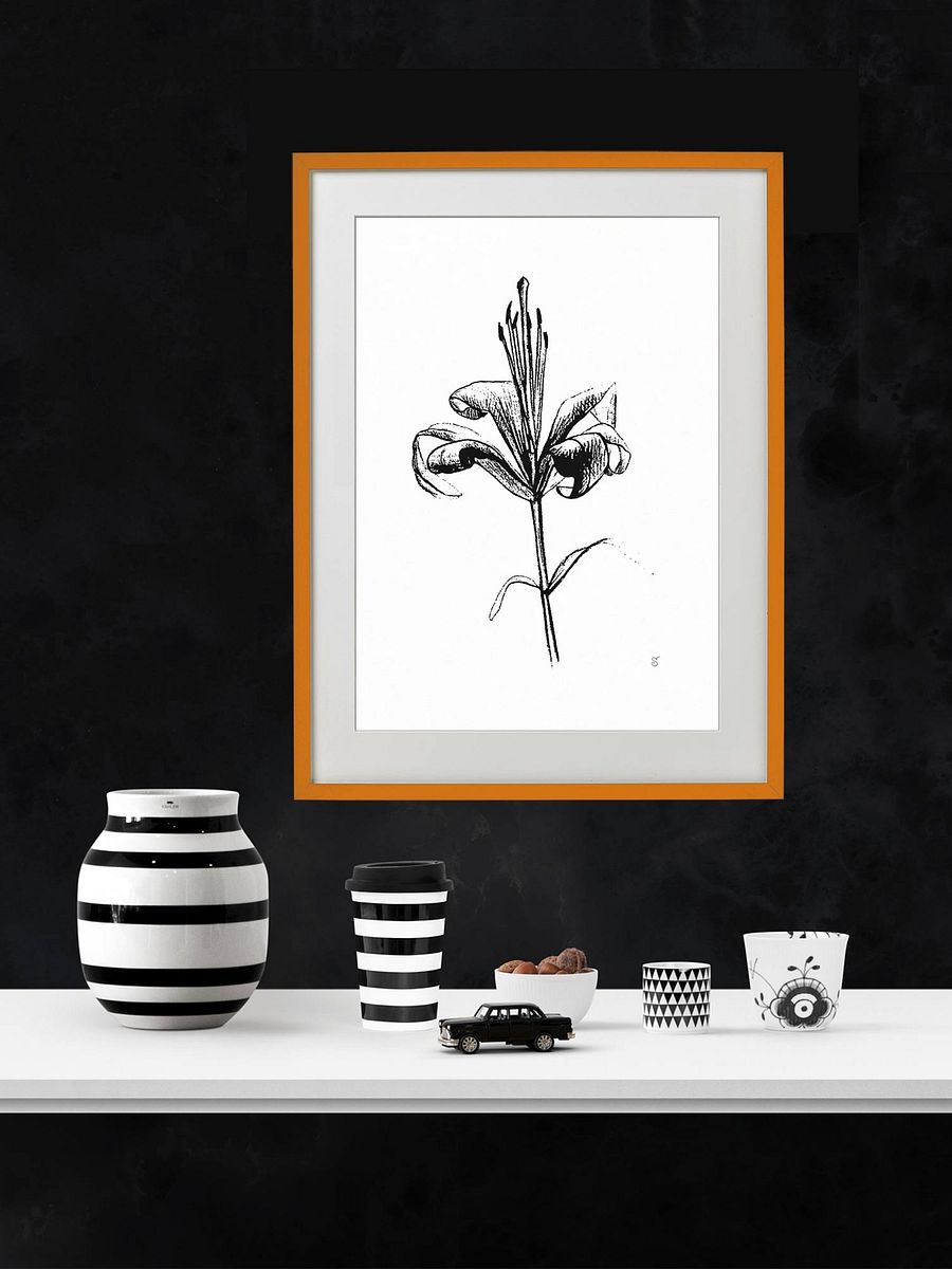 Lily Elegance Poster - Fine Flower Light product image (8)