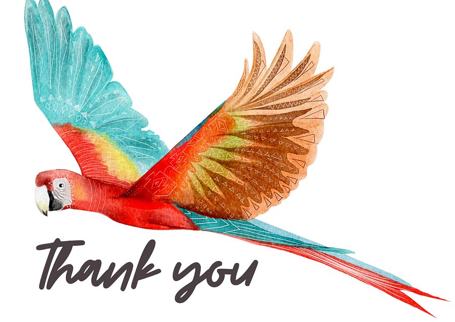 thank you cards bird 3 different birds product image (7)