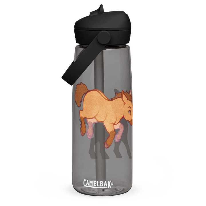 Spirit & Rain | CamelBak straw bottle product image (3)
